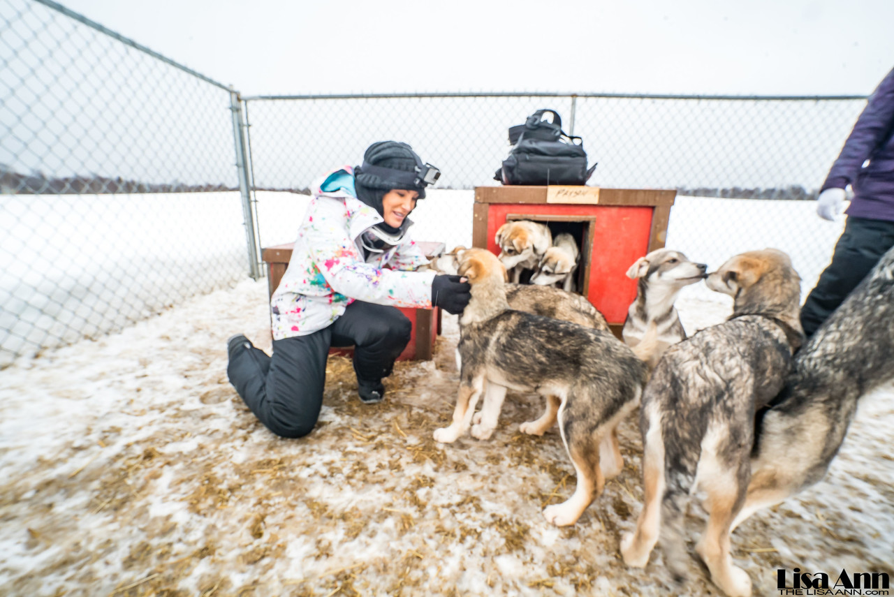 La actriz porno americana Lisa Ann disfrutando de un trineo tirado por  perros en Alaska - NakedPics