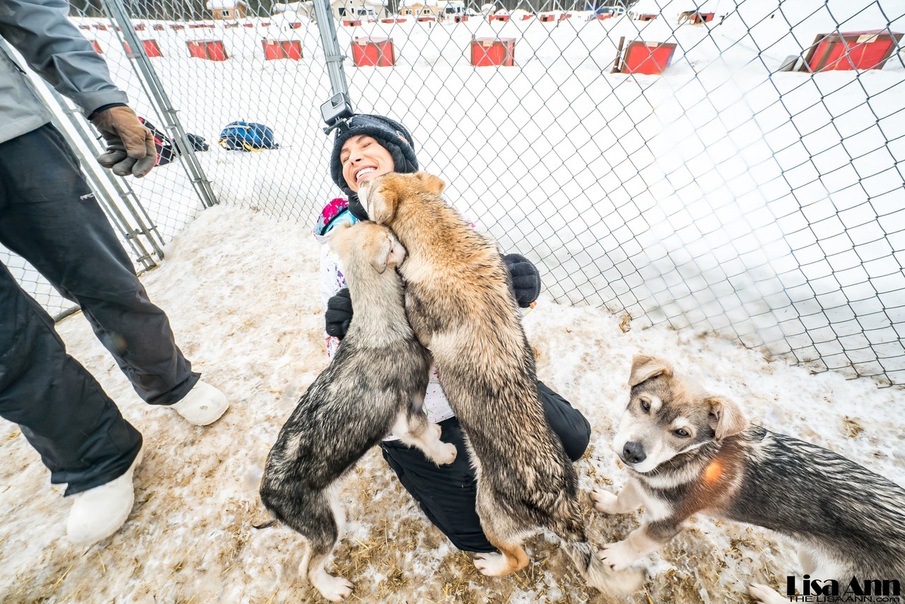 La actriz porno americana Lisa Ann disfrutando de un trineo tirado por  perros en Alaska - NakedPics