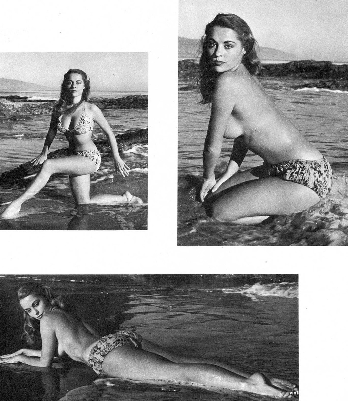 Vintage Diane Webber Porn - Beautiful brunette Diane Webber bares her hot body during a vintage  photoshoot - NakedPics