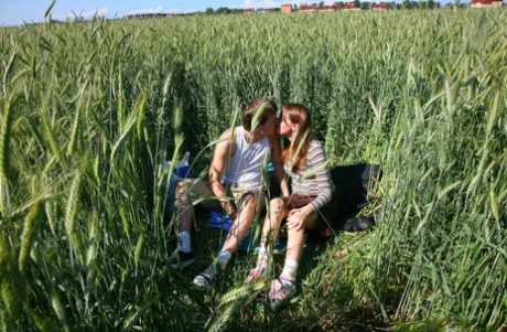 Nadržený teenagerský pár si najde místo ve vysoké trávě, kde může souložit