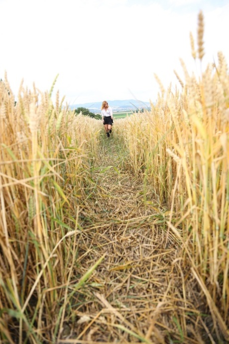 Blond uczennica Chrissy Fox palcuje swoją łysą cipkę na polu pszenicy