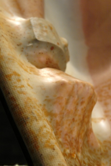 Horká Christina Carter se přiváže k vakuovému lůžku, které ukazuje její křivky
